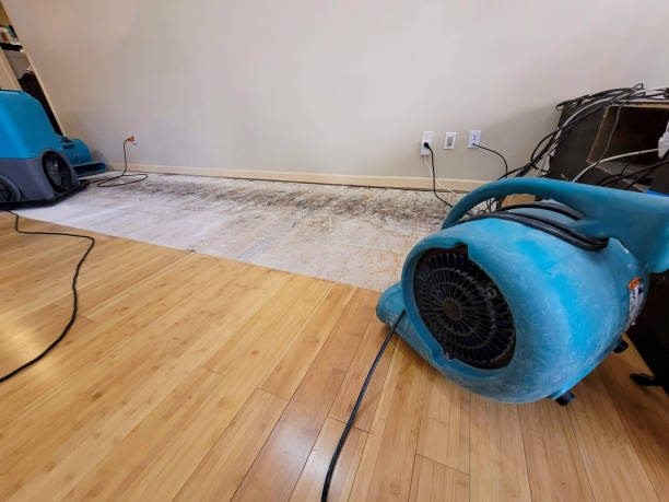 Professional Flood Damage Cleanup technician working in Alcove, NY